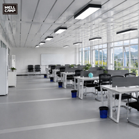 WELLCAMP - Edificio de Oficinas Modular de Instalación en 1 Hora, Oficina Comercial con Muro Cortina de Vidrio, Espacio de Trabajo Prefabricado, Directo de Fábrica