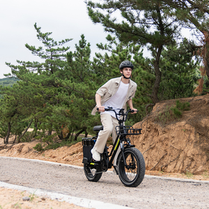 Bicicleta Eléctrica KOOLUX X8 en Stock en la UE/Reino Unido, 250W para la UE, 750W para la UE, Motor de 48V 64Ah, Batería de Litio Doble, Portaequipajes Trasero, 25KM/H, Bicicleta Eléctrica Urbana - Product Image 4