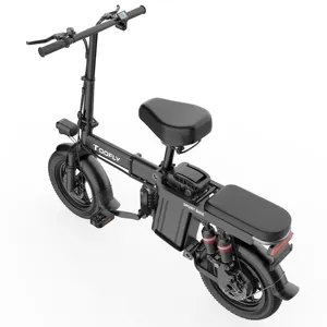 2 wheels powerful adult foldable electrical bike with 14inch tyre