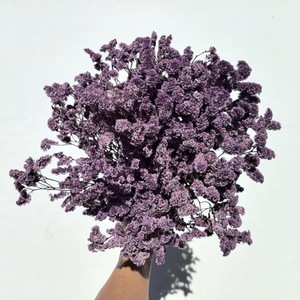 <span class=keywords><strong>Fleur</strong></span> éternelle Saint Valentin cadeau <span class=keywords><strong>de</strong></span> fête des mères <span class=keywords><strong>fleur</strong></span> éternelle pleine d'étoiles mariage décoration <span class=keywords><strong>de</strong></span> la maison fleurs séchées - Product Image 6