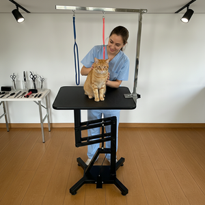 Nouvel équipement vétérinaire pour chiens avec structure fixe pour le séchage du pelage, le bain et <span class=keywords><strong>la</strong></span> table de toilettage pour animaux de compagnie - Product Image 2