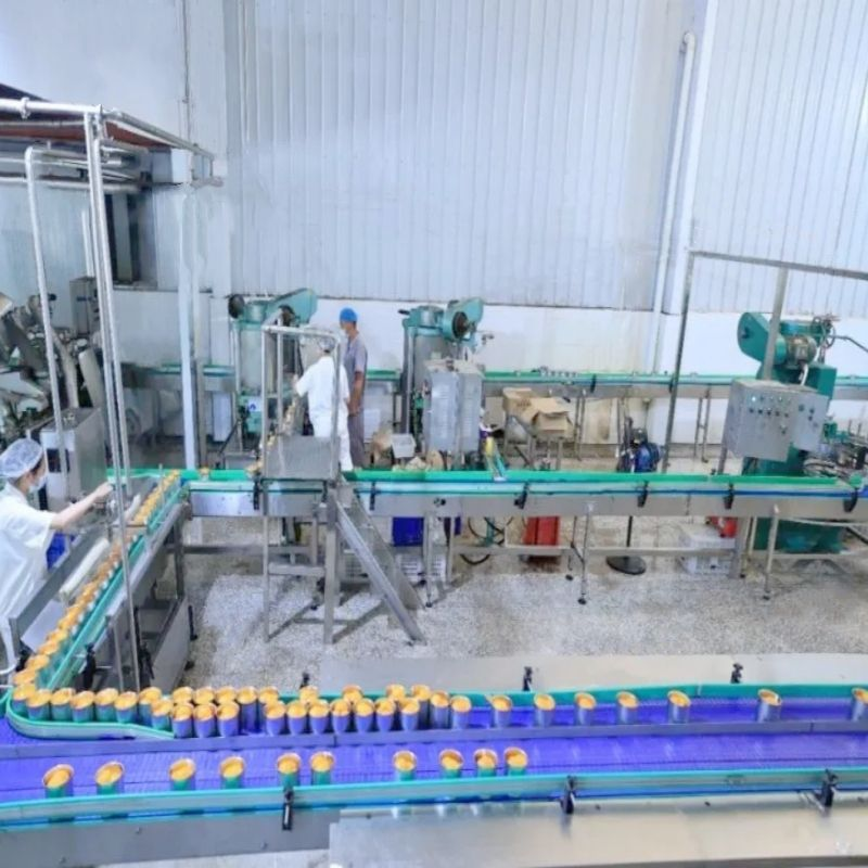 Customizable Capacity Fruit Canning Line Grapes