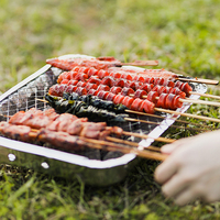 Gril jetable instantané de BBQ d'utilisation de temps de fumeur extérieur avec le charbon de bois