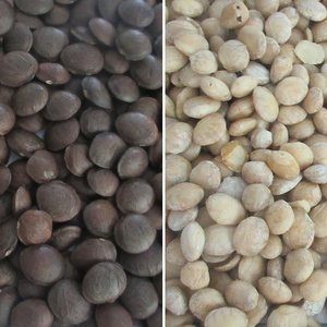 2025 New Màu đậu SORTER Máy CCD phụ tùng được thiết kế cho vỏ để sắp xếp cà phê hoặc hạt điều - Product Image 6