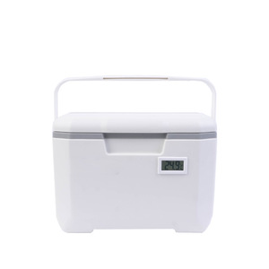 6l Kids Cooler Box Mini Handle Lunch warm box with Electrical Thermometer