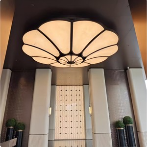 Modern Petal Shape Chandelier For Hotel Lobby Six Head <b>Ceiling</b> <b>Light</b> Energy Saving Lamp Round Design 5-10 Sqm Coverage - Product Image 2