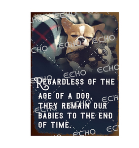 Venta caliente Pet Wall Signs 20X30CM Funny Dog Tin Sign Ella también necesita un Dachshund Metal Sign - Product Image 6