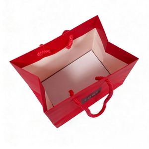 Luxury Custom Ribbon Handle Paper <b>Bag</b> for Jewelry Cosmetic & Gift Packaging for Store Promotion Supermarket & Exhibition Use - Product Image 1