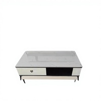 Meuble TV et Table Basse Combinés en Bois Minimaliste Moderne avec Plateau en Pierre Artificielle, Meuble de Rangement de Luxe Léger pour Salon