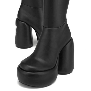 Bottes hautes à talons ronds pour femmes, plateforme épaisse, styles uniques, bottines longues, design personnalisé, chaussures à fermeture éclair latérale - Product Image 5