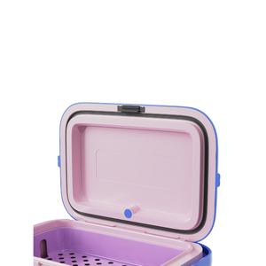 Afrique du Sud Vente chaude OEM ODM Personnalisé 10qt Glacière portable <span class=keywords><strong>en</strong></span> plastique grande capacité pour pique-nique et camping, glacière d'extérieur - Product Image 5