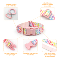 Ensemble collier et laisse pour chien motif cerise, gravure laser personnalisée, vente en gros d'usine, faible MOQ, accessoire pour chien