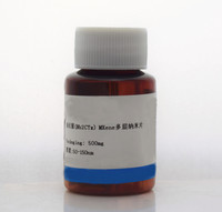 Nanosheetes Multicapa de MXene Nb2CTx de Alta Pureza, Tamaño Lateral 1-10 micras, 500mg