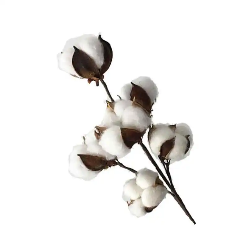 hot selling various size artificial dried cotton flower for home decoration