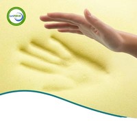 Oreiller Ergonomique Orthopédique en Mousse à Mémoire de Forme, Modèle Marin, pour Soulagement Efficace des Douleurs Cervicales