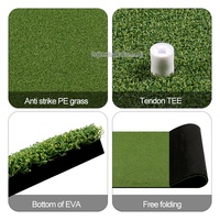 Nouveau type de tapis de golf professionnel pour mini-golf, gazon artificiel 3D, tapis d'entraînement de golf, cages et tapis