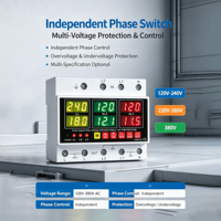 Interrupteur de protection biphasé 63A AC120V-240V 220V-380V 380V, protecteur contre les surtensions et les surintensités pour la maison