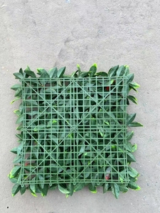 แผ่นผนังหญ้าเทียม LUYI สำหรับตกแต่งภายนอกอาคาร รั้วหญ้า โฟตินียา - Product Image 2