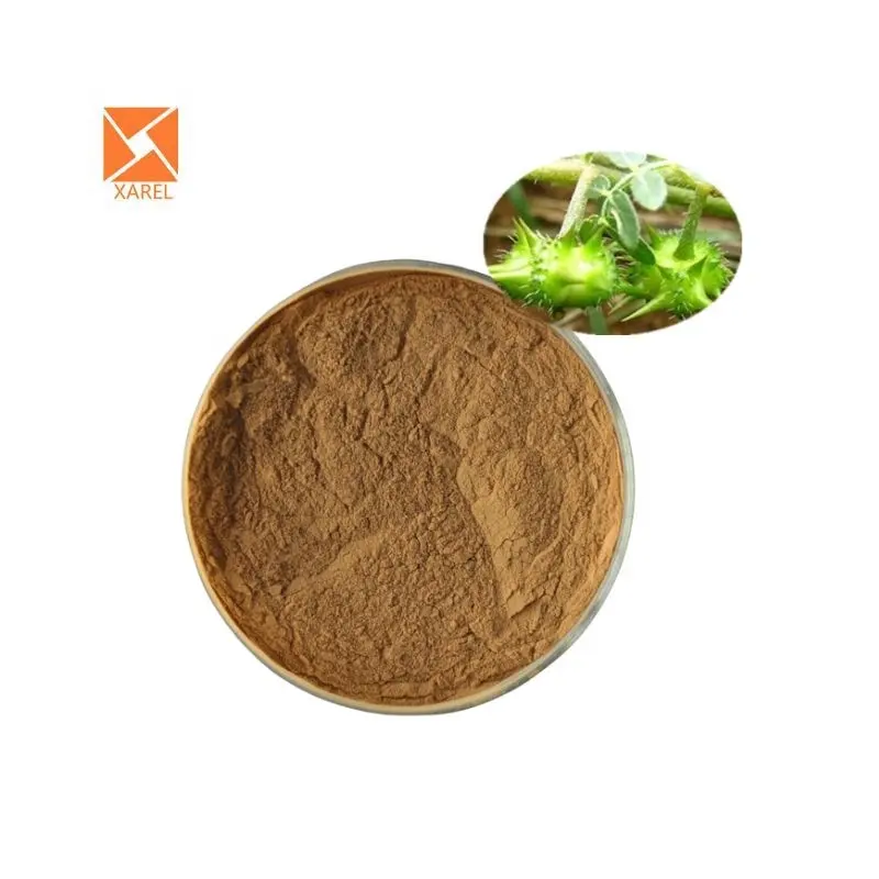 Vrouwelijke Supplementen Tribulus Terrestris Extract Tribulus Terrestris Extract Poeder