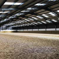 Arène de cheval d'intérieur, structure en acier pré-épilée, bon marché, accessoire d'équitation