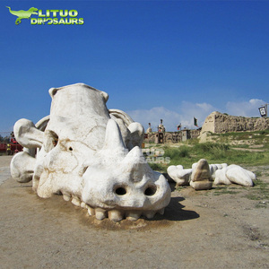 Cráneo de Dinosaurio de Tamaño Real, Calidad de Museo, <span class=keywords><strong>Esqueleto</strong></span> de <span class=keywords><strong>Pteranodon</strong></span> - Product Image 6