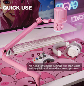 <span class=keywords><strong>Fifine</strong></span> TAM6บูมแขน <span class=keywords><strong>USB</strong></span>-<span class=keywords><strong>C</strong></span> ไมโครโฟนชุดมืออาชีพตรวจสอบลดเสียงรบกวนไมโครโฟน <span class=keywords><strong>USB</strong></span> RGB คอนเดนเซอร์ - Product Image 6