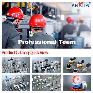 Brass & nhựa khí nén Air Pipe kết nối nhanh chóng Kim Loại Thẳng Push-in phù hợp với solenoid valve điều kiện - Product Image 5