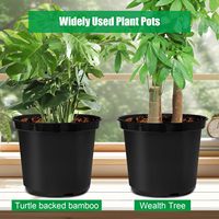 Pots de plantes en plastique 1 gallon, noirs, revêtement poudré, modernes, ABS, écologiques, durables, pour la culture en jardin