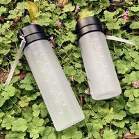 2025 cadeaux de noël logo personnalisé cadeaux cadeau promotionnel Portable Sport extérieur bouteille d'eau en plastique givré écologique