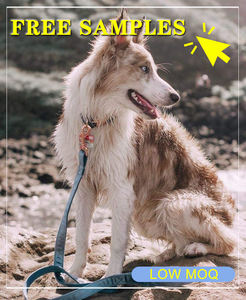 Populaire Nouveau Design Personnalisé Chien Collier Pour Animaux De Compagnie Laisse Harnais Kit Ensemble De Luxe Velours Rubans Doux Rembourré Personnalisé Nylon Gratuit - Product Image 4