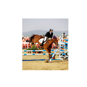 Highest Barriers to Frame Horse <strong>Jump</strong> Poles Horse <strong>Jump</strong> - Product Image 3