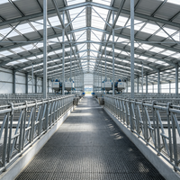 Structure en acier préfabriquée pour ferme d'élevage, hangar isolé pour vaches laitières, grand hangar d'élevage de bétail