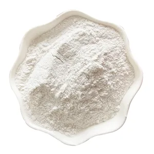 Wholesale Price For High Purity Natural Paint Coating Casting Silica Quartz Powder SiO2 99% Price China Silica Quartz Powder