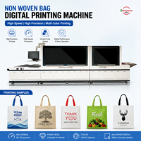 Impresora UV Industrial BNM-WFBD01 para Bolsas No Tejidas, 40-60 piezas/min, Ancho de Impresión de 216 mm, Ancho de Alimentación de 650 mm, Grosor de 0-100 mm