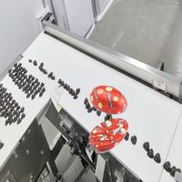 Machine d'emballage de chocolat en aluminium de forme semi-ellipsoïdale, haute performance, thermoscellage automatique, conception personnalisée