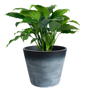 Fioriera per vasi da fiori <span class=keywords><strong>in</strong></span> <span class=keywords><strong>cemento</strong></span> di <span class=keywords><strong>grandi</strong></span> <span class=keywords><strong>dimensioni</strong></span> <span class=keywords><strong>in</strong></span> plastica decorativa per giardino - Product Image 2