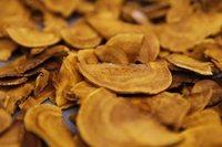 Produits à base de plantes chinoises très demandés : Champignon jaune Phellinus Igniarius, herbes et aliments de haute qualité, tranches de Sang Huang pour la cuisine et la pâtisserie