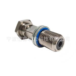Soupape de trop-plein de carburant Common Rail Kr-Plv43 pour camions Volvo Renault, en acier inoxydable, nouvelle pièce de rechange - Product Image 3