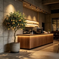 Direct van de fabriek: populaire kunstmatige citroenboom bonsai, groene plant in pot voor binnen- en buitendecoratie
