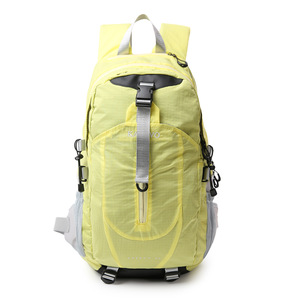 Wholesale High Quality Nylon Large Capacity Waterproof Light Weight Durable Travel <b>Backpack</b> Zipper Trendy Fashion Sports Gear - Product Image 5