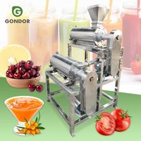 Passievrucht Mango Ananas Jam Puree Industriële Groentemachine Pulp Extractor Kersenpulper