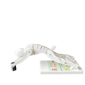 Modelo de demostración de fuerza lumbar de columna vertebral humana para <span class=keywords><strong>postura</strong></span> de levantamiento de pesas - Product Image 6