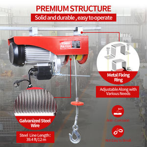 <span class=keywords><strong>Mini</strong></span> Polipasto Eléctrico Chenli 220v Pa100 Pa200 Pa300 Pa500 Pa1000, Polipasto Eléctrico Pequeño Tipo PA - Product Image 4