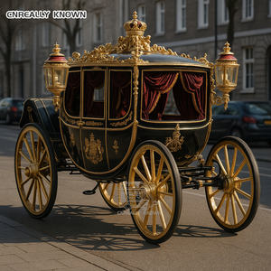 Carruaje de caballos de alta calidad personalizado con aire acondicionado y luces LED para exteriores en venta - Product Image 2