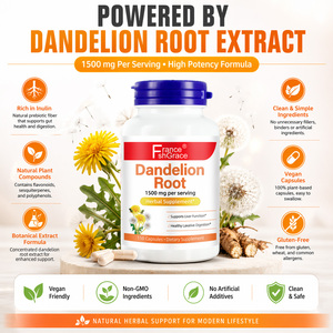 Complément de racine de pissenlit 1500 mg pour adultes, soutient la fonction hépatique et une digestion saine, capsules de racine de pissenlit - Product Image 4