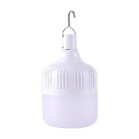 Ampoule LED rechargeable avec USB et batterie, à suspendre avec crochet pour le camping en extérieur et l'éclairage d'urgence à domicile