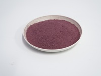 2025 produit chaud pur lyophilisé poudre de myrtille en vrac en gros FD processus de séchage