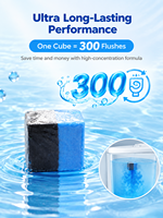 Tablettes nettoyantes solides pour réservoir de toilettes, personnalisables, 2 pièces, écologiques, désinfectantes, désodorisantes