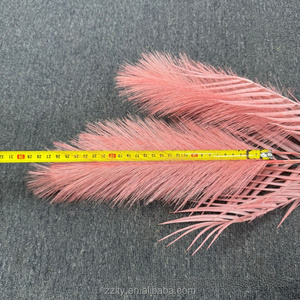 Fabricantes que venden hierba de <span class=keywords><strong>pampa</strong></span> para bodas, Navidad, Pascua, graduación, Halloween, Acción de Gracias - Product Image 2