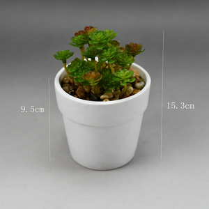 Mini-plantes succulentes en gros avec pot en céramique blanche, faux bonsaïs succulents assortis <span class=keywords><strong>pour</strong></span> la décoration intérieure, commande en gros disponible - Product Image 6